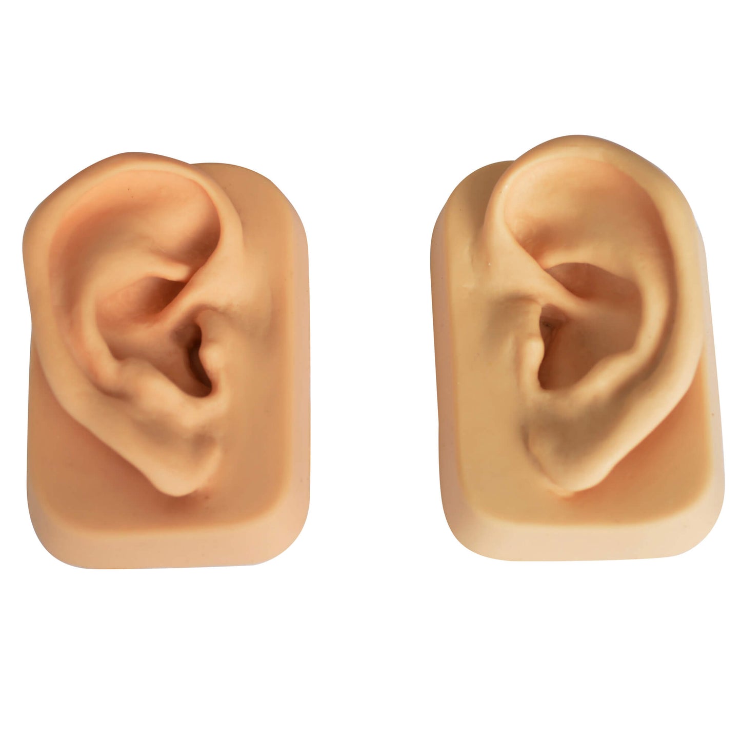 Modèle d'oreille (la paire) beige