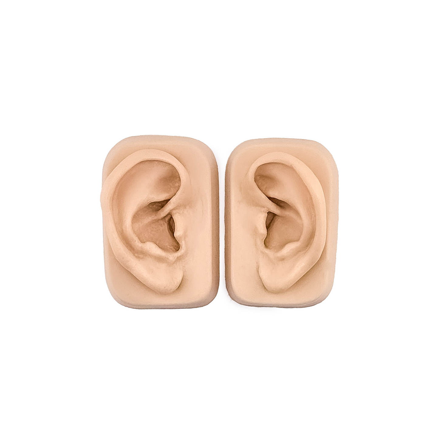 Modèle d'oreille (la paire) beige